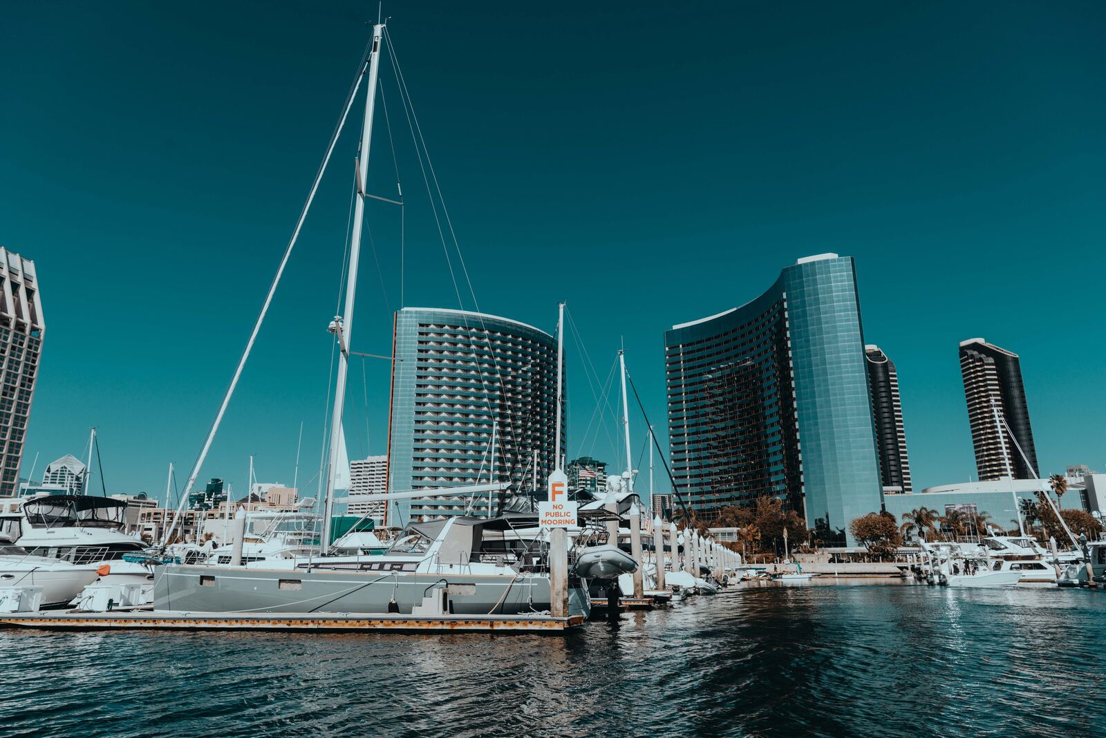 San Diego waterfront and marina skyline